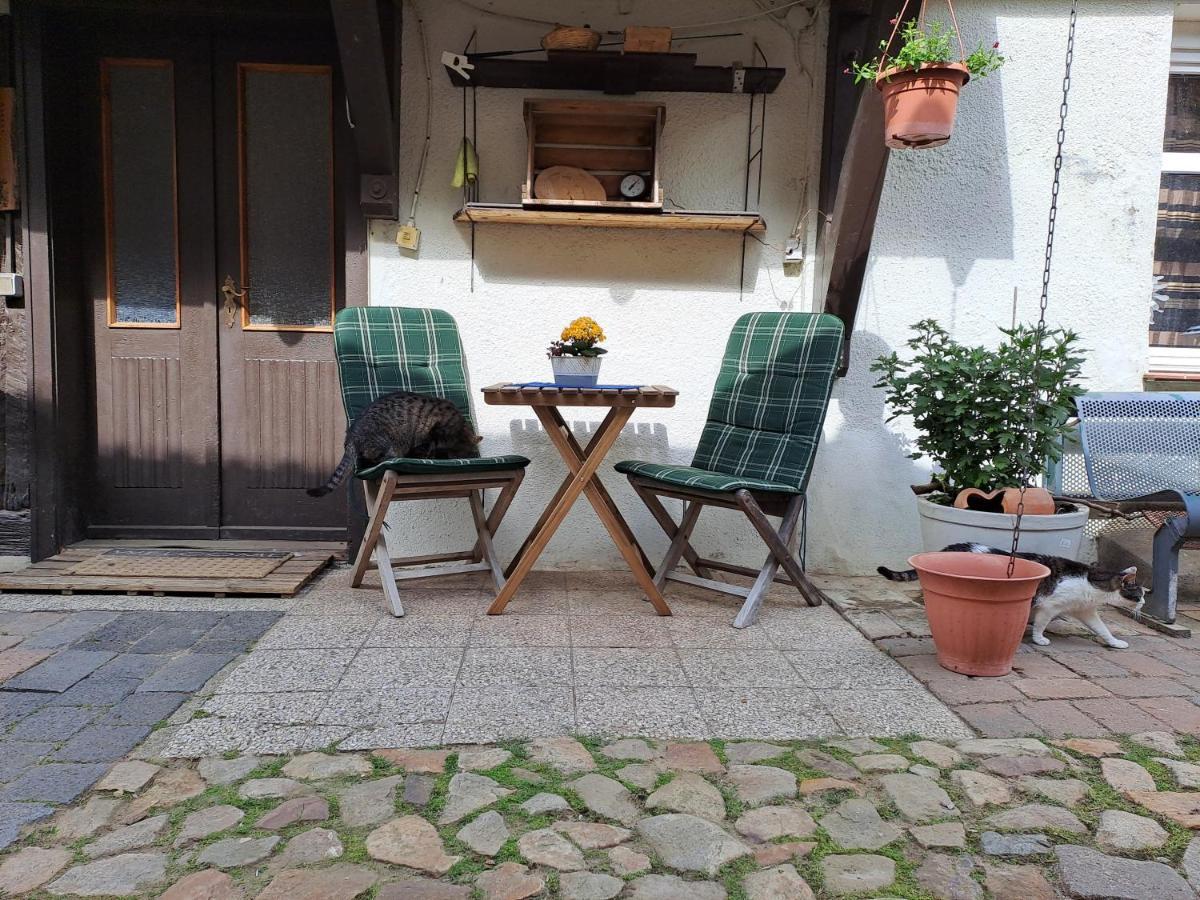 Koebbelshof Apartment